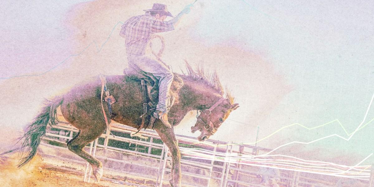 Why opinion on AI is so divided