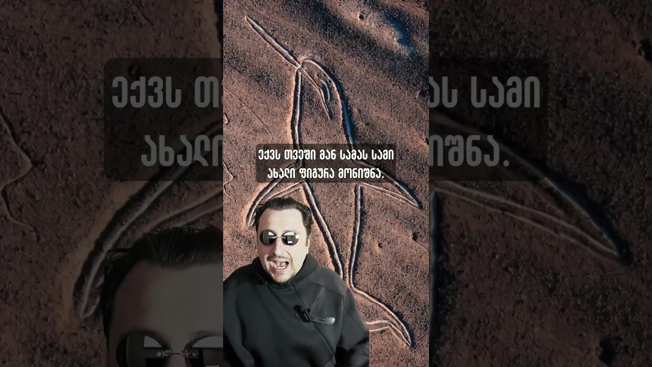 ხელოვნურმა ინტელექტმა ახლახან ნასკას 303 დამალული ნახატი იპოვა