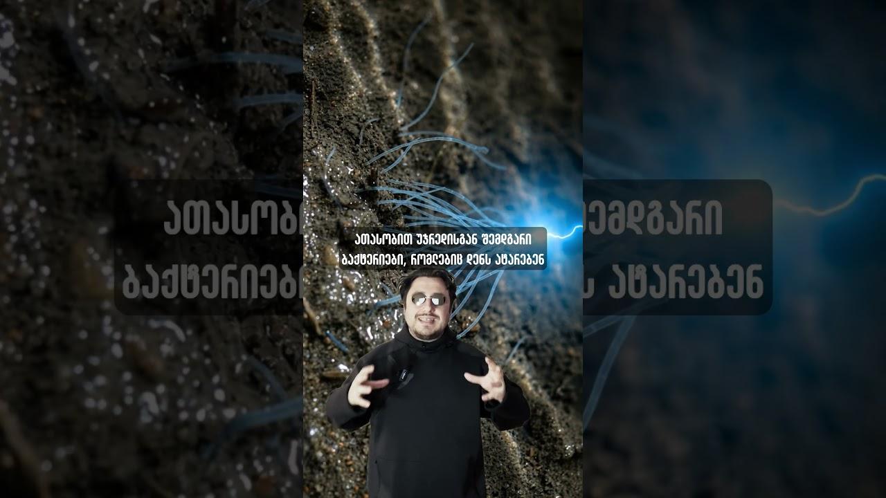 ოკეანის ფსკერზე კაბელი დევს და ის ცოცხალია.