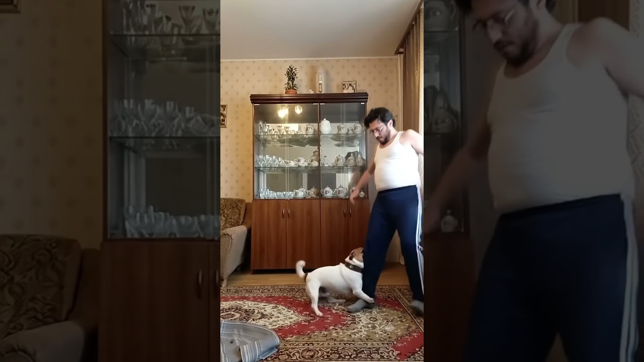 ცუგო